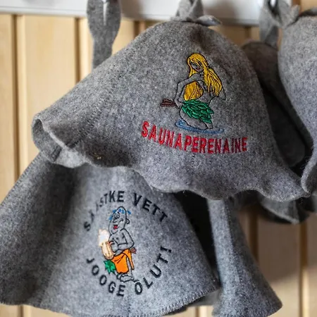 شاليه Veldemani Puhkemaja Vaibla