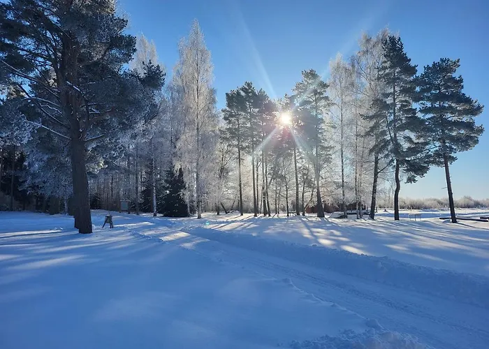 Veldemani Puhkemaja Vaibla