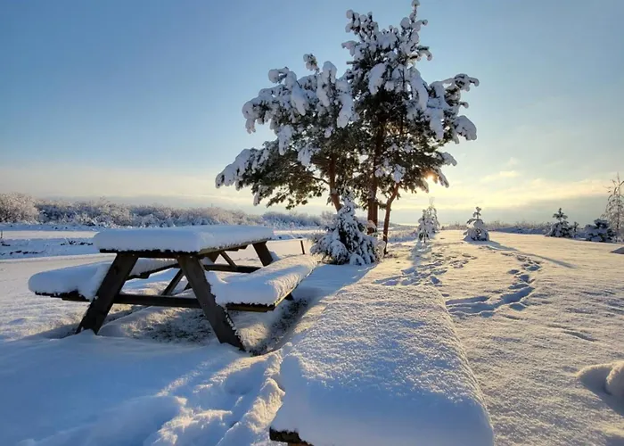 شاليه Veldemani Puhkemaja
