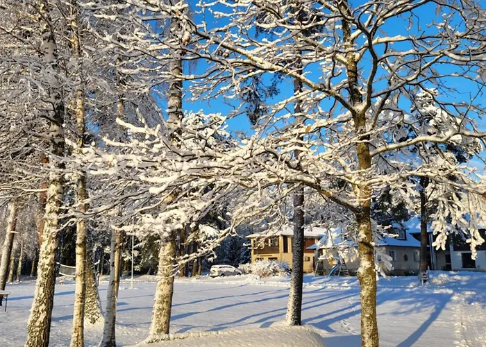 Veldemani Puhkemaja Vaibla